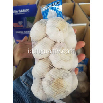 Ukuran 5cm bawang putih putih normal